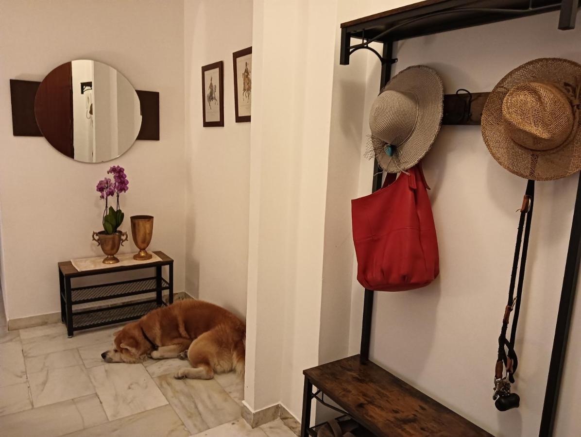 Laura Domus Apartment Портичи Екстериор снимка