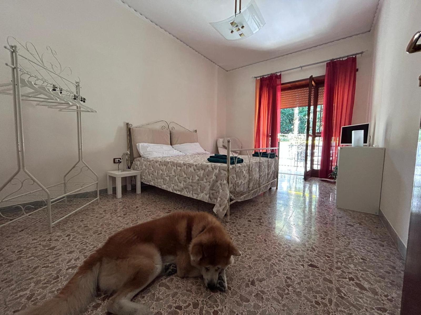 Laura Domus Apartment Портичи Екстериор снимка